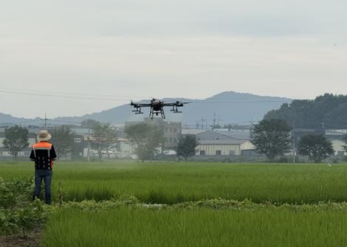 김포시, 2025년 벼 재배 전체면적에 친환경 항공방제 추진