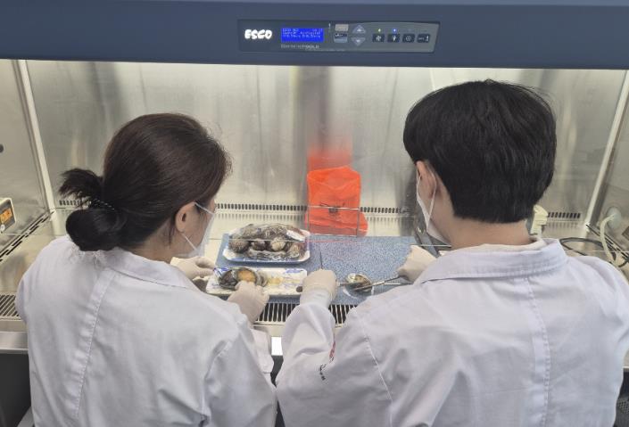 광주광역시,  여름철 비브리오균 증가세… 수산물 주의
