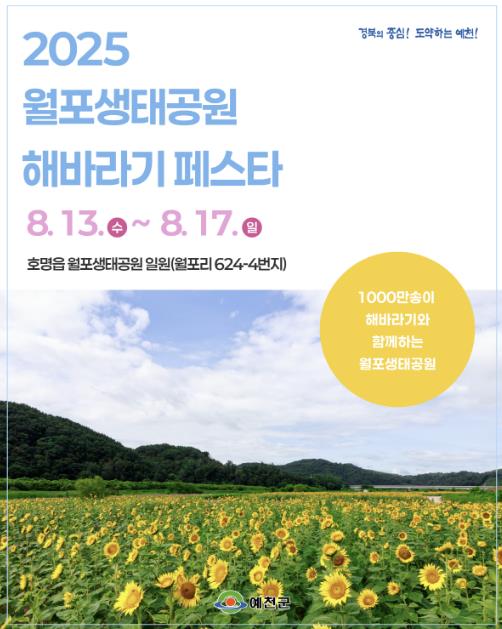 예천군, "놀면 뭐하니껴~ 월포 가보자GO" 해바라기 페스타 13일 개막