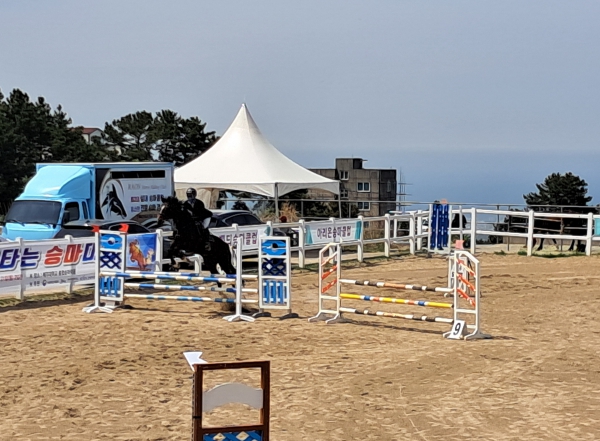 제주도, 승마·관광·교육 연계 ‘말산업 지원사업’ 참여자 공모