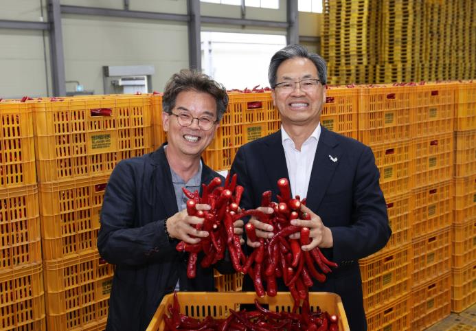영양군, 2025년산 홍고추 수매 본격 시작