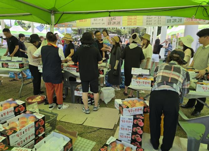 순천명품 ‘월등 복숭아’ 전국 인기 절정