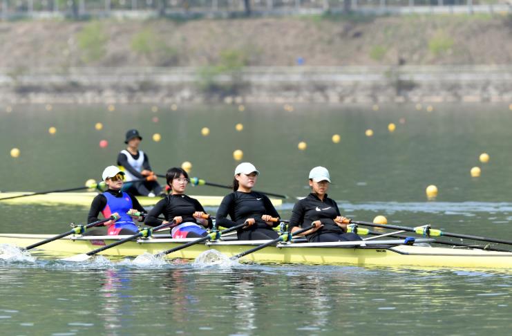 파크골프 이어 조정대회 개최 화천군 지역경제 스포츠 특수