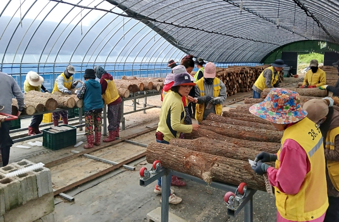 순창군 공공형 계절근로자,‘호평’에 힘입어 근무 연장 