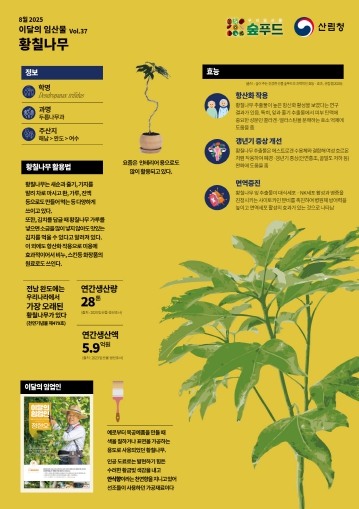 산림청, 8월 이달의 임산물로 ‘황칠나무’ 선정