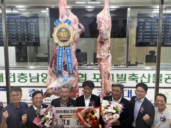 충남도, 한우 한 마리 가격이 6224만 원?!