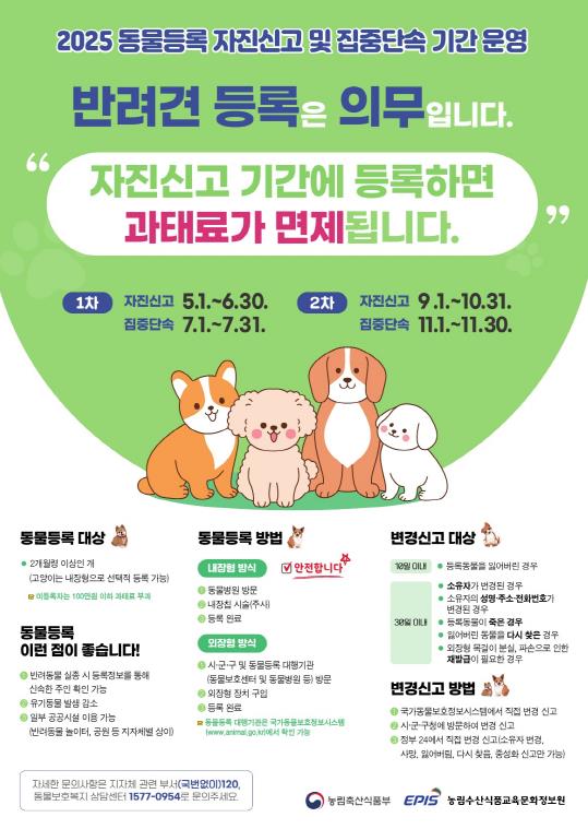 동대문구, '2025년 동물등록 자진신고 기간' 운영