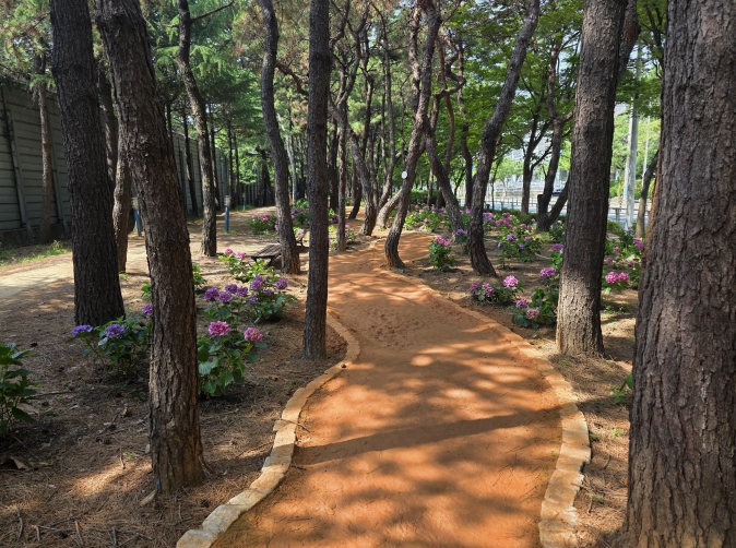 부산 북구, 화명역 일원 주민 힐링 명소 ‘기찻길 숲속 맨발산책로’ 조성 완료