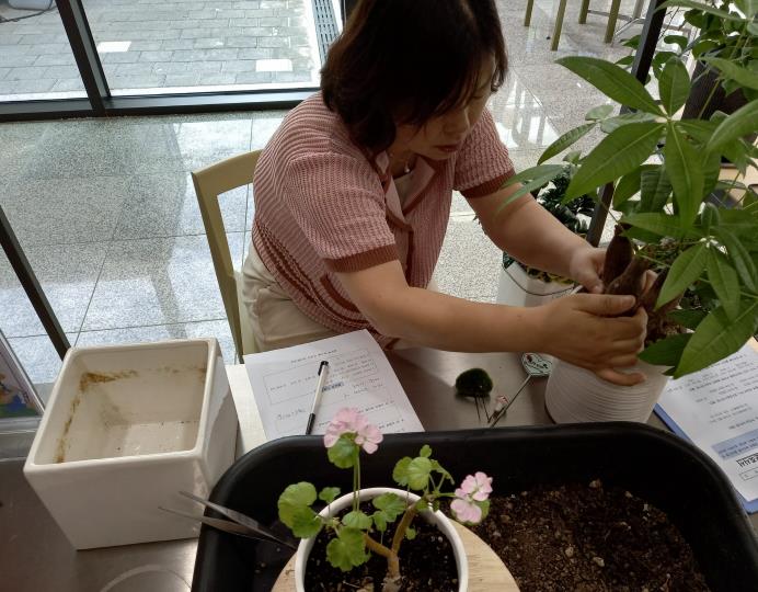 강북구, '찾아가는 반려식물 클리닉' 23일 개최