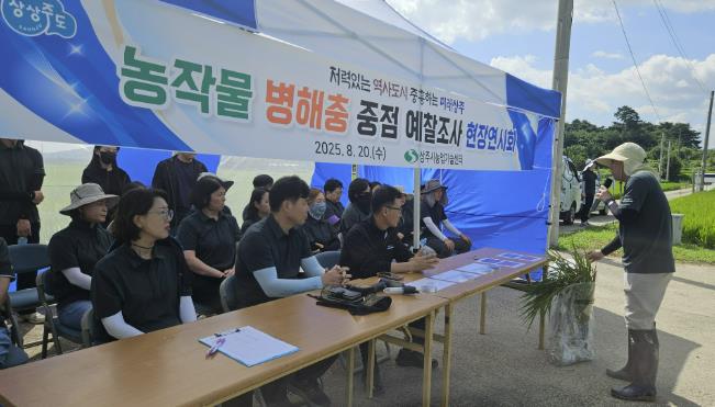 상주시, 2025년 농작물 병해충 중점 예찰조사 실시