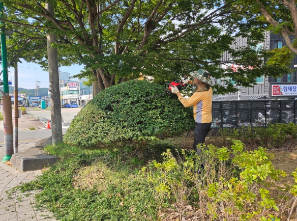 무안군 청계면 서복현 씨, 17년간 나무전정 재능기부로 지역사회 모범돼
