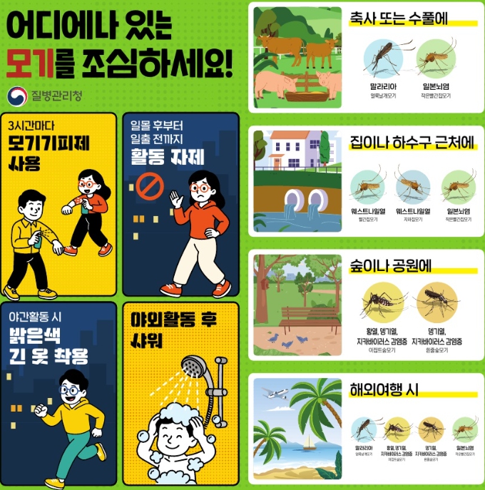 통영시, 여름철 모기 매개 감염병 예방 총력