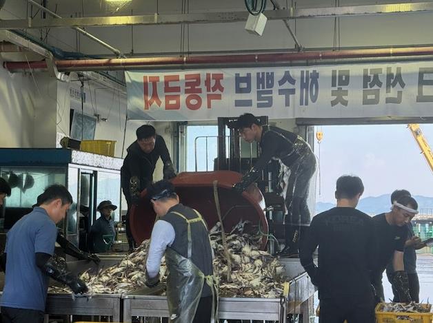 보령시, 꽃게 금어기 해제로 본격 가을 조업 시작