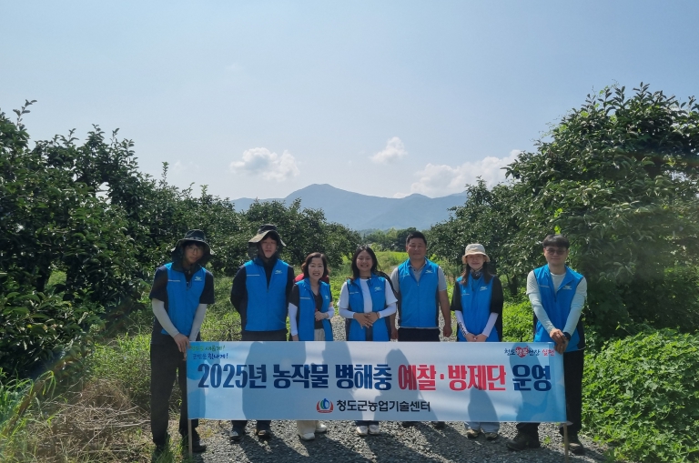 돌발해충, 벼멸구 등 병해충 청도군에서 예찰 실시