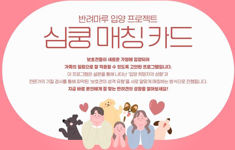 멍놀이터에서 우리 같이 놀아요! 경기도, 스타필드 수원에서 유기동물 입양상담 팝업 운영