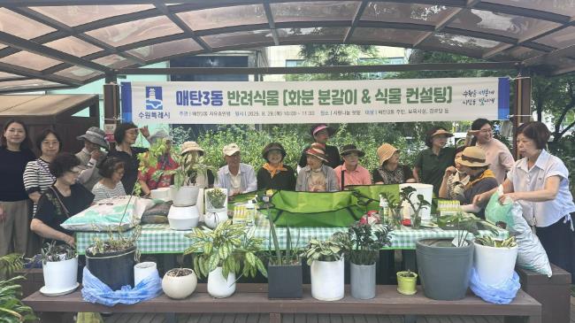 수원시 영통구 매탄3동 자유총연맹, 반려 식물 '화분 분갈이＆식물 컨설팅' 운영