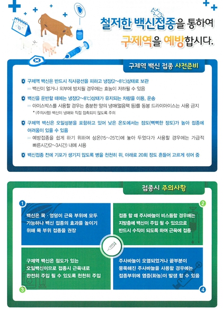 인천시, 9월 한 달간 소·염소 구제역 백신 일제접종