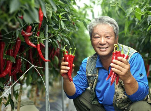 괴산청결고추 품평회 대상, 장연면 김종복 농가 수상