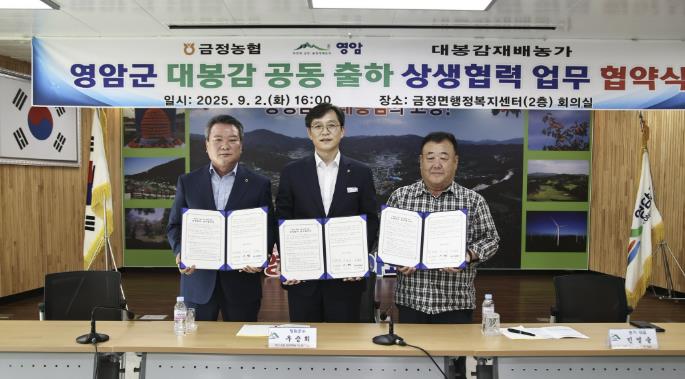영암군, 대봉감 수매 장려금 지원 나선