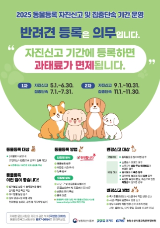 김포시, 9월 ~ 10월 ‘동물등록 자진신고 기간’ 운영