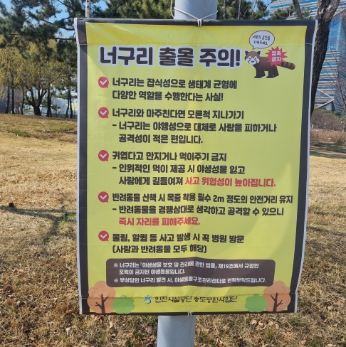 인천경제청, 공원 내 너구리 출몰에 따른 전문가 자문회의 개최