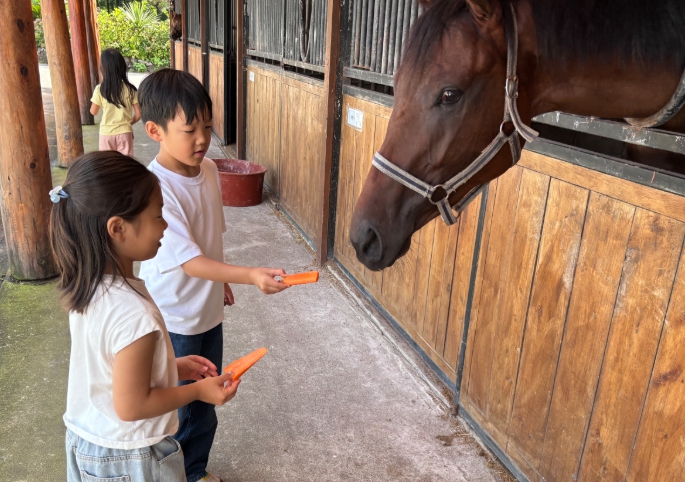 제주도교육청 평대초, 승마와 서핑 등 글로벌생태스포츠 특색 활동 운영