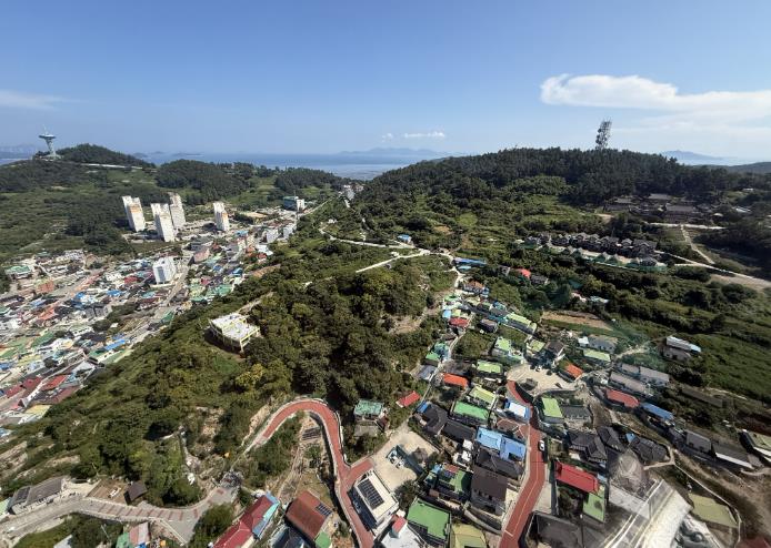 완도군, 내년 3월까지 소나무 재선충병 방제 힘쓴다!