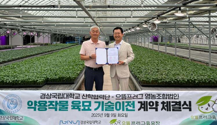 경상국립대학교 산학협력단, 으뜸프러그 영농조합법인에 ‘참당귀와 지황’의 안정적 생산 위한 핵심기술 이전
