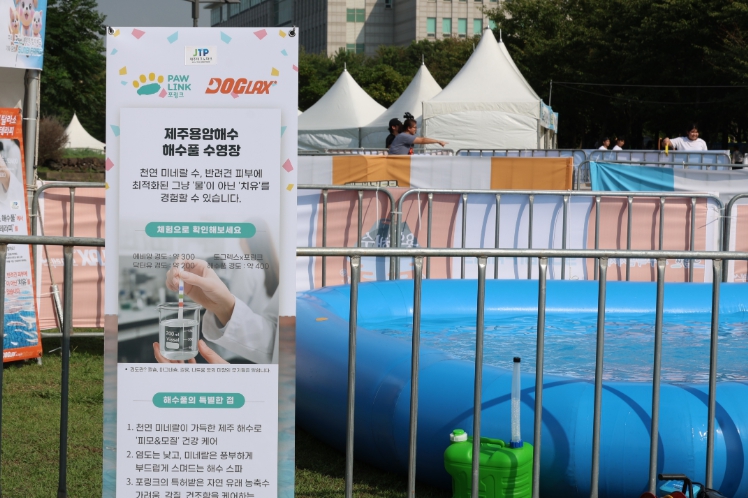제주테크노파크, 반려견, 제주용암해수에 빠졌다!