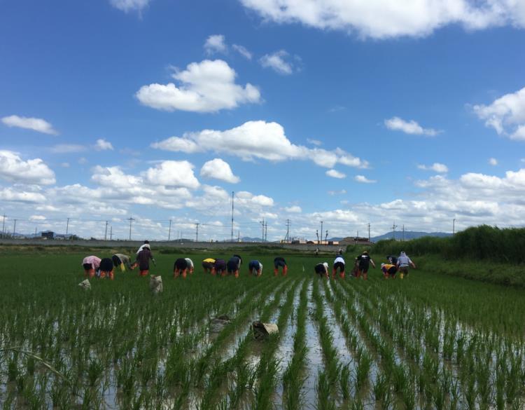 수원특례시, '생태계서비스지불제 계약 사업' 참여자 모집