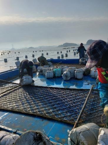 군산시, 2026년 수산분야 외국인 계절근로자 사업 참여자 모집
