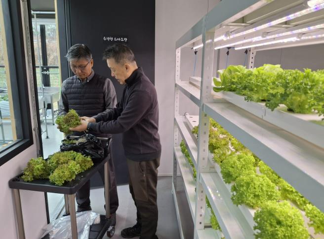 과천시, 도시농업센터 스마트팜 재배 채소 복지시설 전달