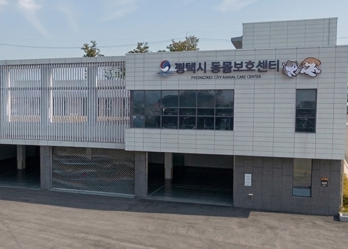 평택시, 동물보호센터 봉사활동 확대 운영