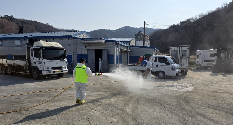 아산시, 도고면 메추리 농장 AI 항원 검출… ‘드론 방역’ 총력전