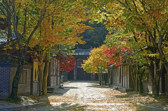 단종 만나고 단양까지… 남한강 따라 이어지는 봄 여행