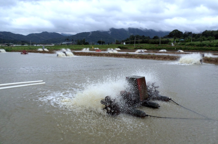 정읍시, “내수면 양식생물 입식·출하, 제때 신고하고 재해 대비하세요”
