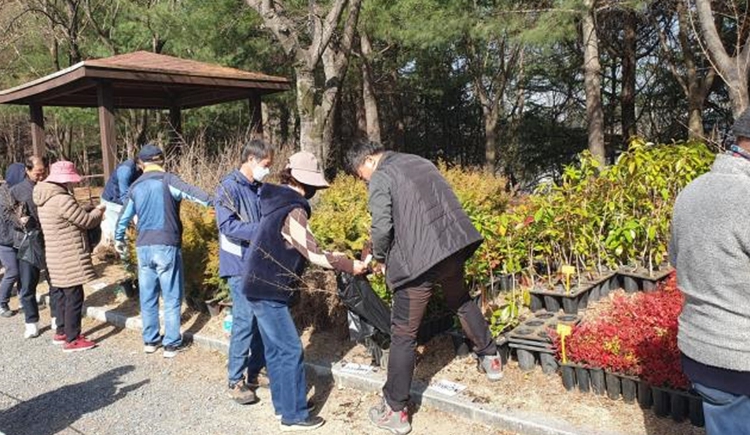 대구시, 나무 나눠주기 행사 개최… “함께 만드는 녹색도시”