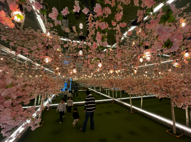 울산 남구 웰리키즈랜드, 새학기 맞아 어린이 체험콘텐츠 확대·특별요금제 시행