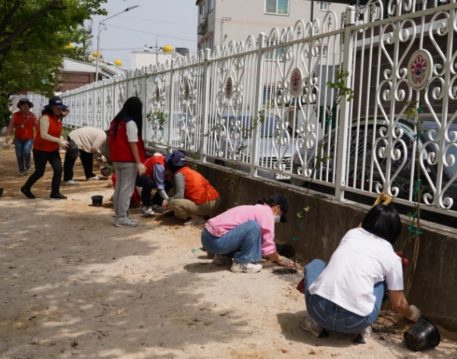 내 손으로 가꾸는 장미정원 … 포항시, 장미정원 지원사업 참여단체 모집