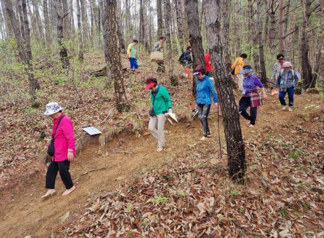 거창군, 항노화 힐링랜드 산림치유 프로그램 본격 운영
