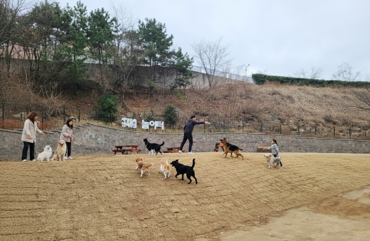 사상구, 부산 최초 ‘숲속 반려동물 놀이터’ 문 연다... 3월 19일 오후 3시 개장식