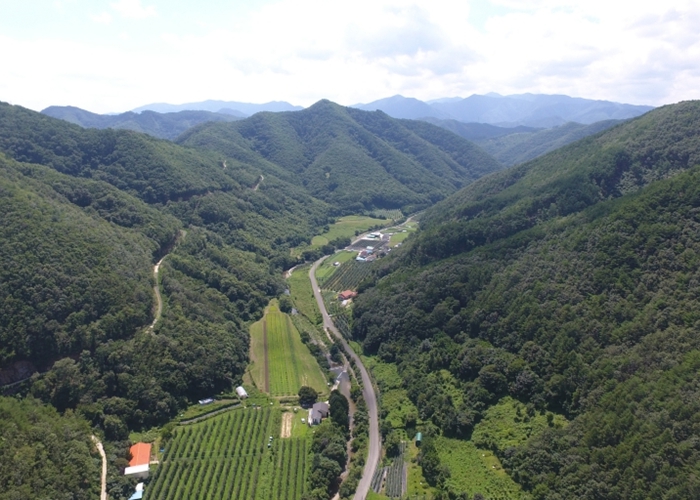 포항시 산림경영 성과 인정, 산림청 선도산림경영단지 평가 ‘매우우수’