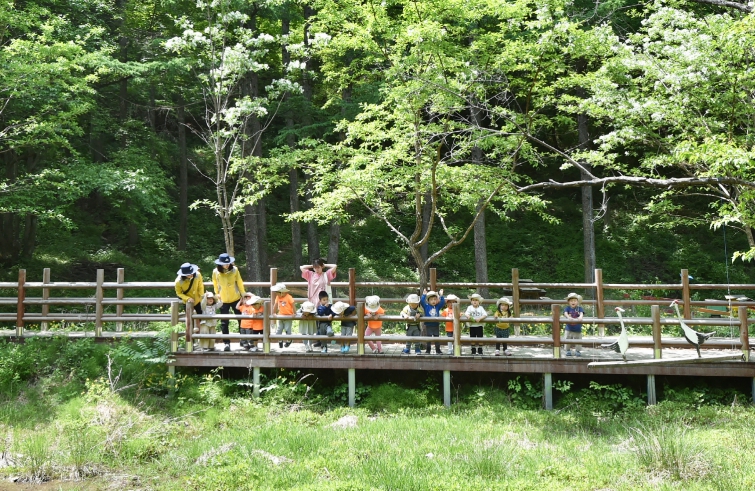 산소카페 청송군, 2026 산림정책 발표