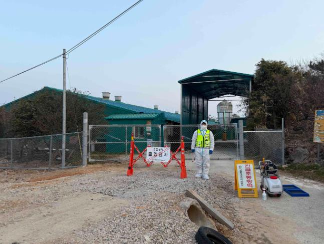 전라남도, 함평 양돈농장서 아프리카돼지열병 발생…방역관리 강화