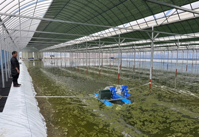 전북자치도 토하･김･새우류 양식품목 특화 추진