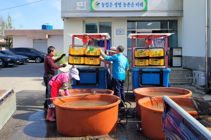 순창군, 벼 종자 온탕소독 지원으로 종자전염병 예방 추진
