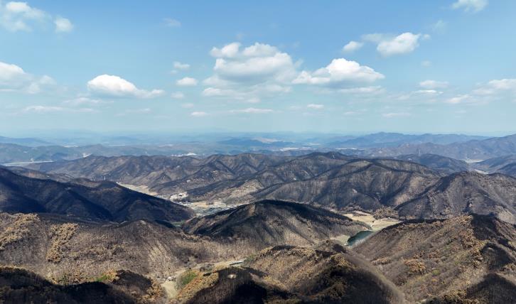 안동시, 산림투자선도지구 지정 추진으로 민간투자 유치 박차