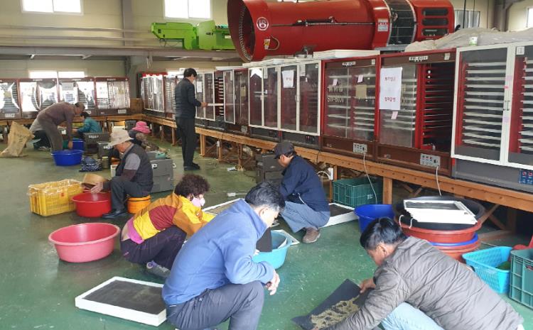 영천시, 과수꽃가루은행 운영...기후변화 및 꿀벌 감소 대응 지원