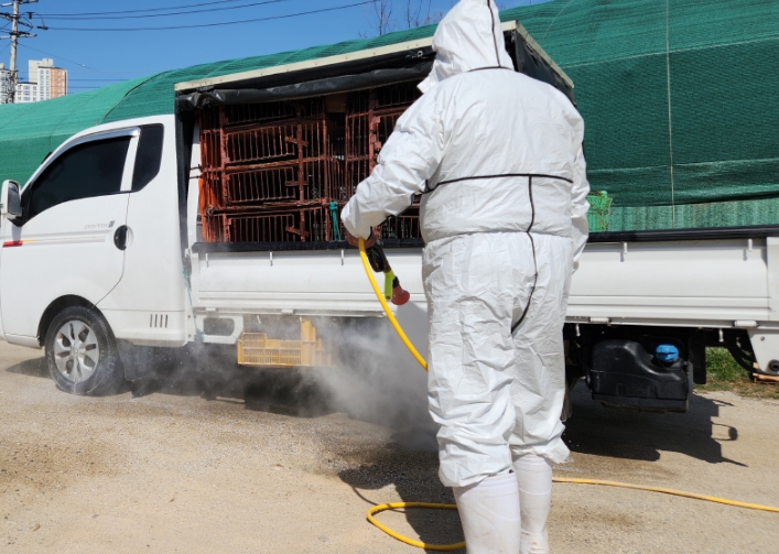 경남도, 봄철 소규모 가금유통 조류인플루엔자 차단 방역망 강화