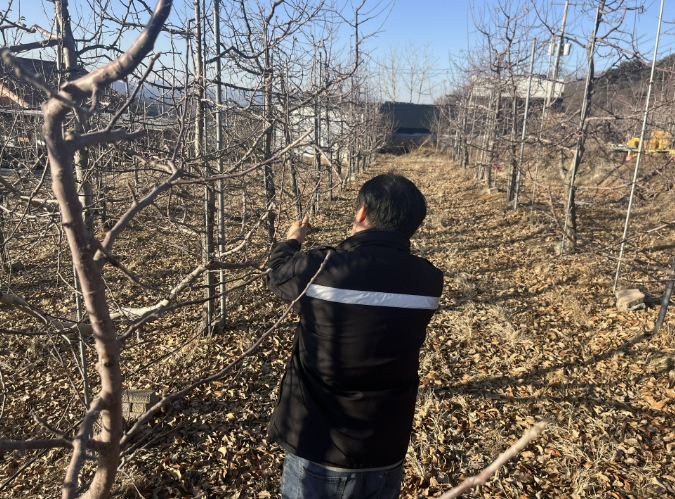 단양군농업기술센터, 과수화상병 사전방제 약제 배부 완료